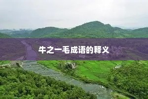 牛之一毛成语的释义