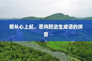 怒从心上起，恶向胆边生成语的拼音