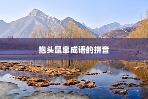 抱头鼠窜成语的拼音