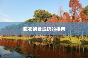 暖衣饱食成语的拼音