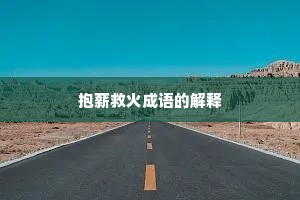 抱薪救火成语的解释
