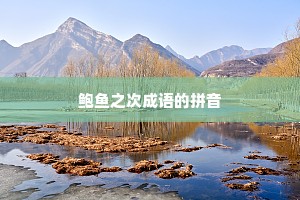 鲍鱼之次成语的拼音