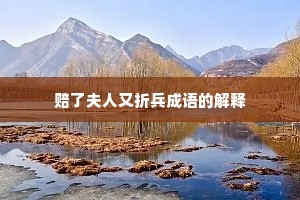 赔了夫人又折兵成语的解释