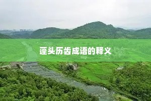 蓬头历齿成语的释义