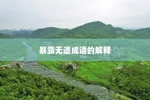 暴露无遗成语的解释