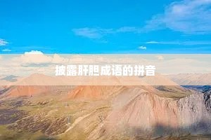 披露肝胆成语的拼音