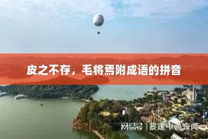 皮之不存，毛将焉附成语的拼音