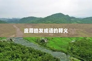 庞眉皓发成语的释义