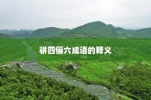 骈四俪六成语的释义