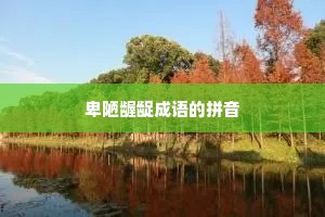 卑陋龌龊成语的拼音