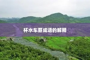 杯水车薪成语的解释