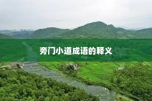 旁门小道成语的释义