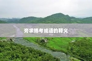 旁求博考成语的释义