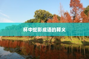杯中蛇影成语的释义