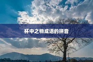 杯中之物成语的拼音