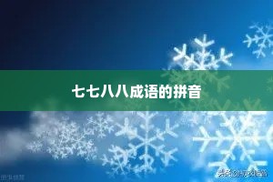 七七八八成语的拼音