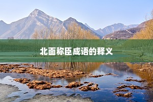 北面称臣成语的释义