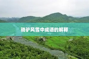 骑驴风雪中成语的解释