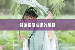 背暗投明成语的解释