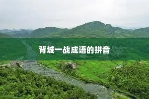 背城一战成语的拼音