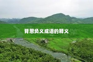 背恩负义成语的释义