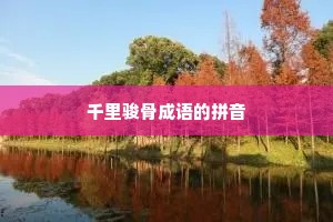 千里骏骨成语的拼音
