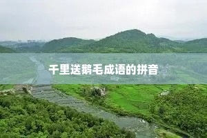 千里送鹅毛成语的拼音