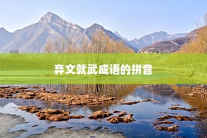 弃文就武成语的拼音