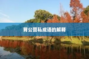 背公营私成语的解释
