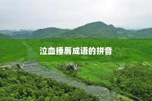 泣血捶膺成语的拼音