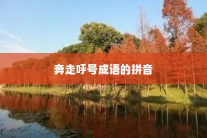 奔走呼号成语的拼音