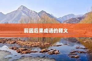 前因后果成语的释义