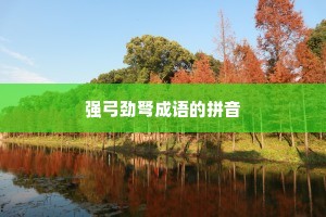 强弓劲弩成语的拼音