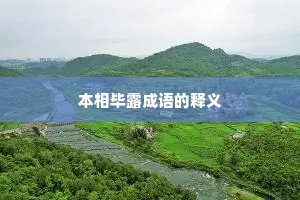 本相毕露成语的释义