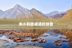 本小利微成语的拼音