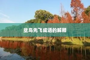 坌鸟先飞成语的解释
