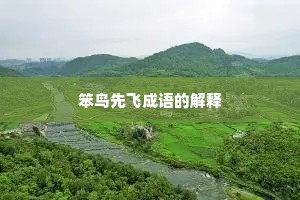 笨鸟先飞成语的解释