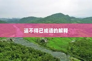 逼不得已成语的解释