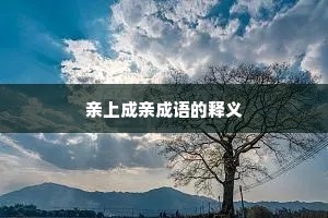 亲上成亲成语的释义