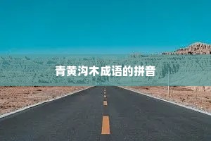 青黄沟木成语的拼音
