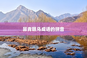 鼻青眼乌成语的拼音