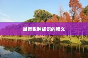 鼻青眼肿成语的释义