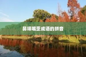 鼻塌嘴歪成语的拼音