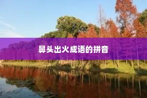 鼻头出火成语的拼音