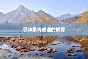 鼻肿眼青成语的解释