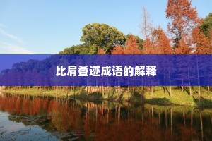 比肩叠迹成语的解释