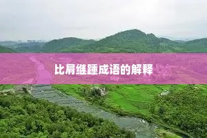 比肩继踵成语的解释