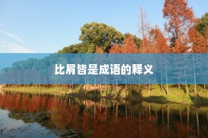 比肩皆是成语的释义