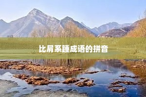 比肩系踵成语的拼音