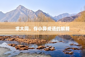 求大同，存小异成语的解释